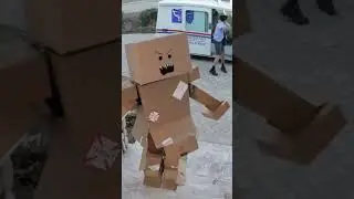 Parcel delivery man's nightmare