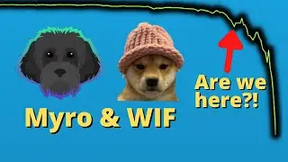 Myro vs DogWifHat (WIF) ⚠️ The Best Solana Crypto Meme...
