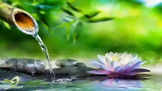 Relaxing Music avec des photos naturelles / 4K HD VIDEO