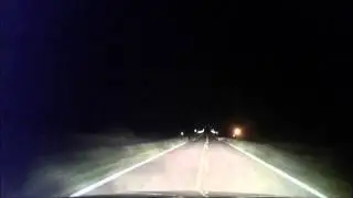 Oklahoma Mountain Lion
