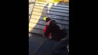 Опасные шуточки