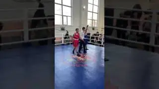 19 ноября 2023 г.
