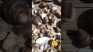 😲FIRST TIME DISCOVERY LIKE THIS IN MISSOURI! 