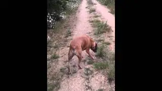 20120617 175302