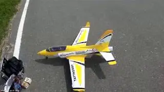 ViperJet90   полет 8 12 07 2019