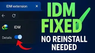 Enable IDM Extension in Chrome (Fixes Downloads Not Capturing 2025)