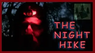 Strange NOISES  in the WOODS While WILD Camping