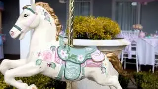 ♪ Life is a Carousel ♫