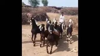When you return home 