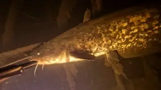 Весенний сплав