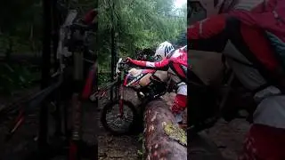 СНОВА БАОБАБ 