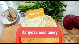 Та самая капуста по-грузински / Просто Бюджетно Вкусно / Капуста по-грузински без уксуса от Аллы