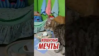 Зарплата 
