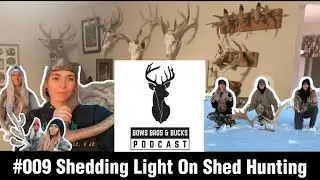 Women Shed Hunters: Tips & Stories | Bows Bros And Bucks Episode #009