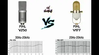 MXL V250 vs MXL V177 Studyo Mikrofon Özellik Karşılaştırma Videosu - 