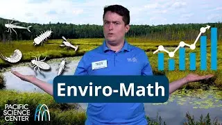 Enviro-Math: How graphing bugs can tell us which wetlands need saving