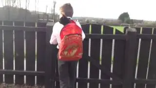 Walk to school with kitty