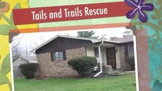 Tails and Trails