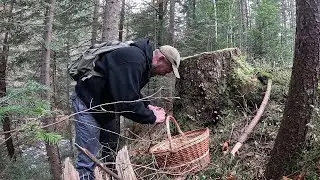 ТУТ 2 КОШИКИ ЗІБРАТИ ЩЕ МОЖНА! Грибалка в Горах!.29.10.2024 Це щось!