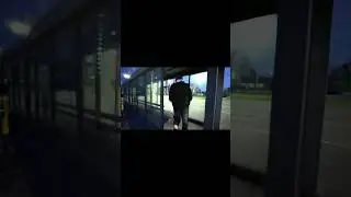 ТГК: KIPISHWEAR