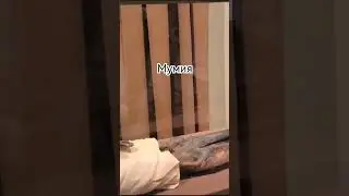 Эрмитаж