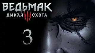 The Witcher 3 / Ведьмак 3 прохождение игры на русском - Игра с огнём [#3] | PC