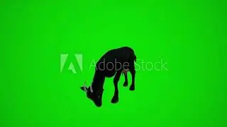 animal green screen 3D  goat eating from the three corners Chromakey rendering animation