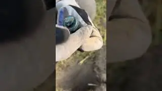 пузырь