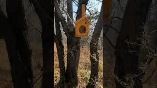 Найди время на отдых #life #motivation