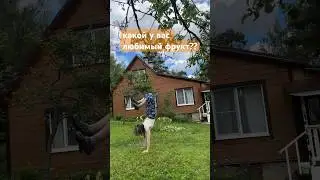 #reggaeton #music #cover #badbunny #глобальныерекомендации #dance #рек #тренд #залетит