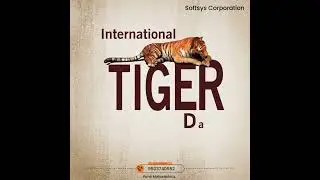 International Tiger Day | 