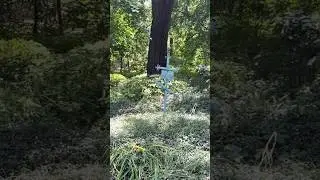 Кладбище в Малой станице