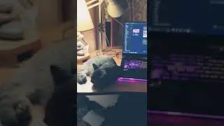 контроль не спит 😁 #shorts