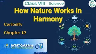 How Nature Works in Harmony | Class 8 Science Chapter 12 | CBSE NCERT | Quick Revision in 7 Mins