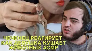 РЕАГИРУЮ КАК ДЕВУШКА КУШАЕТ ЖИВОТНЫХ | АСМР