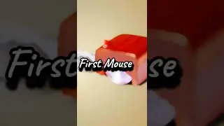 First mouse. #mouse Mouse history Interesting facts about Computer science #coding