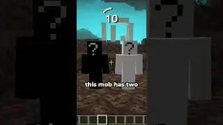 Guess the Minecraft mob in 60 seconds 3