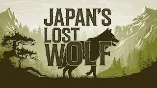 The Japanese Wolf Lost Canine of Japan Mountains