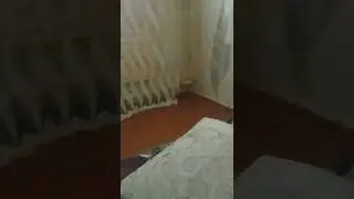 4 мая 2022 г.