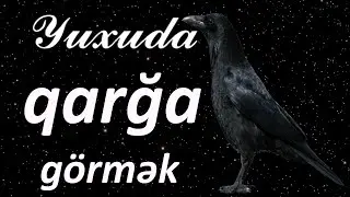 Yuxuda qarğa görmək ☾✵ Geniş 