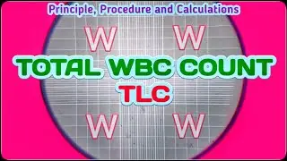Total Leukocyte Count | TLC Blood Test Procedure | Total WBC Count Experiment