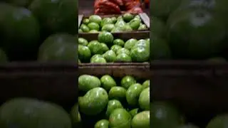 COMÉ DE ESTACIÓN: Zapallito y Pepino