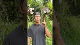 Difference Between Coconut Milk 🥛 and Coconut Water 💧
