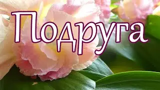 My beloved friend, I dedicate these lines to you...