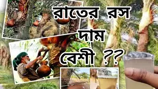 খেঁজুরের রস রাতে দাম বেশি !!! Famous Pure Dates Juice of Bangladesh