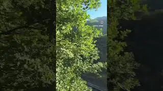 Любовь