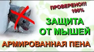 ✅  Как защититься от мышей. Как сделать армированную пену от грызунов