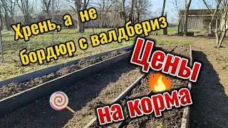 Неудачная покупка бордюра, купили корма на ферме, цены, капельный полив, лента или трубка, пмж на юг