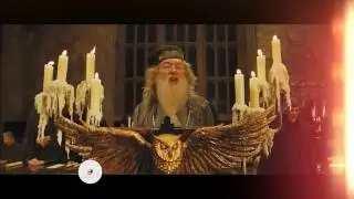 Harry Potter - Séptimo arte
