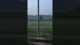 В Саракташском районе медведь